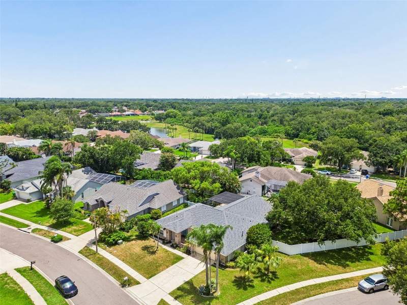 4 bedroom Single Family Residence at 1776 Wood Thrush Way, Pipers Meadow, Palm Harbor — photo 4