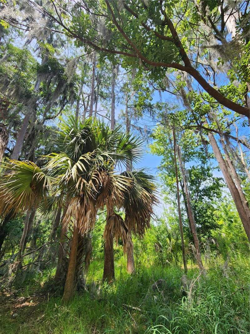 2 bedroom Single Family Residence at 16950 Arrowhead Boulevard, Arrowhead Lakes, Winter Garden — photo 4