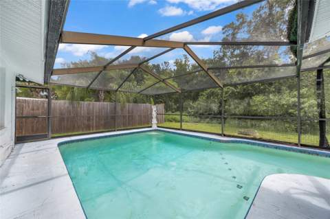 4618 Corner Court, New Port Richey FL - photo 8 of 44