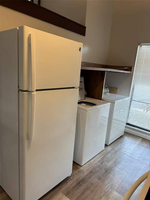 4008 Muriel Place #1, Tampa FL - photo 6 of 6