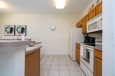 3022 White Orchid Road, Kissimmee FL - photo 9 of 38