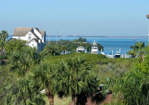 5823 Bowen Daniel Drive #401, Tampa FL - photo 7 of 85