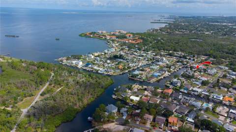 318 Circle Drive, Palm Harbor FL - photo 14 of 38