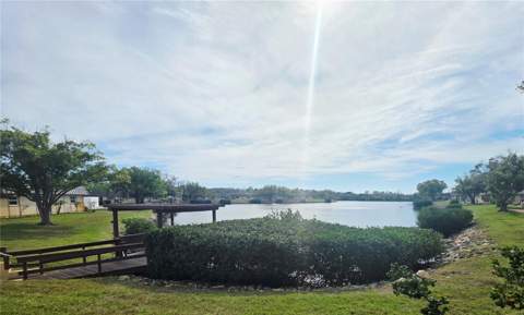 4461 Rustic Drive, New Port Richey FL - photo 21 of 36