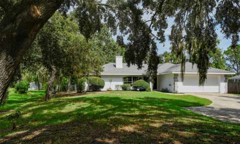 12525 Pine Glen Drive, home for sale in Leesburg 34788