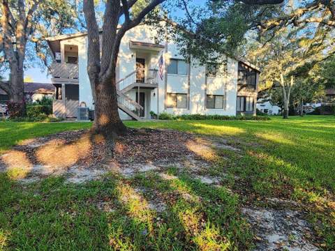 603 Baldwin Avenue #B, Safety Harbor FL - photo 23 of 32
