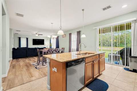 20443 Autumn Fern Avenue, Tampa FL - photo 14 of 30