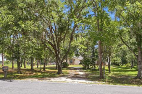 19113 Quinlan St, Orlando FL - photo 8 of 60