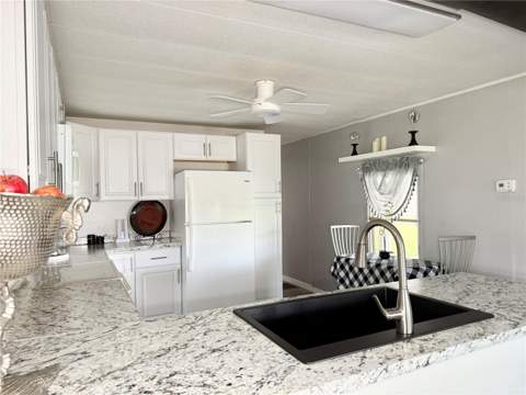 34543 Sweetpea Lane, Zephyrhills FL - photo 6 of 30
