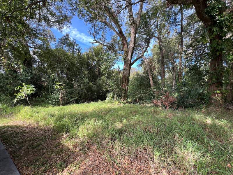 875 OCOEE Apopka ROAD home for sale in James a Lee