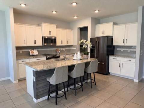 16910 Oval Rum Drive, Wimauma FL - photo 6 of 37