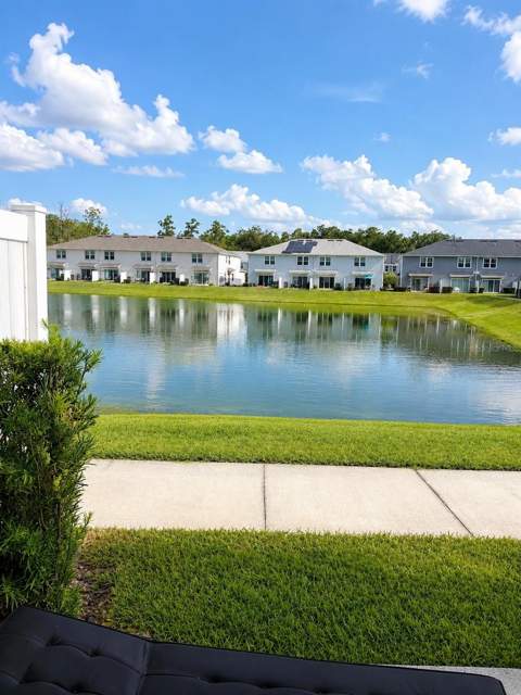 4576 Sparkling Shell Avenue, Kissimmee FL - photo 7 of 18