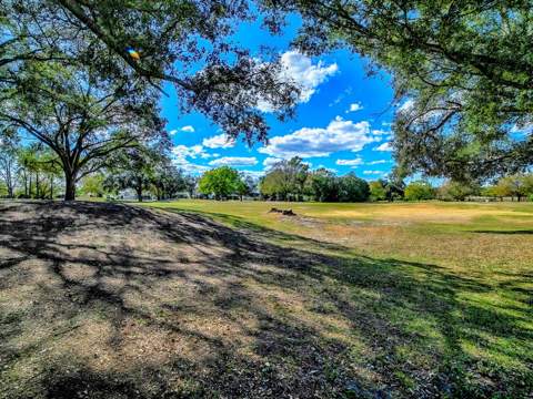 24239 Belle Mede Drive, Leesburg FL - photo 14 of 44