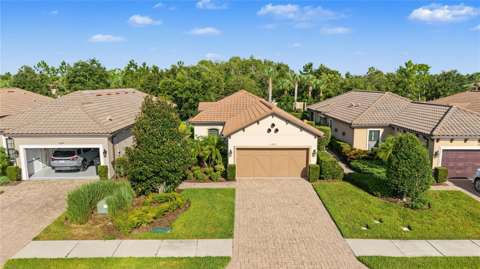11435 Callisia Drive, home for sale in Odessa 33556