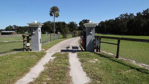 9238 Fort King Road, Dade City FL - photo 8 of 69