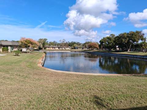 4326 Summersun Drive, New Port Richey FL - photo 20 of 28