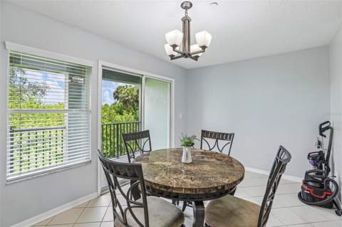 4864 Tuscan Loon Drive, Tampa FL - photo 7 of 25