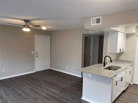 1027 S Hiawassee Road #2311, Orlando FL - photo 10 of 46