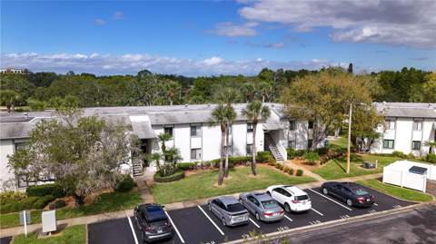 117 E Cypress Court #117, Oldsmar FL - photo 24 of 31