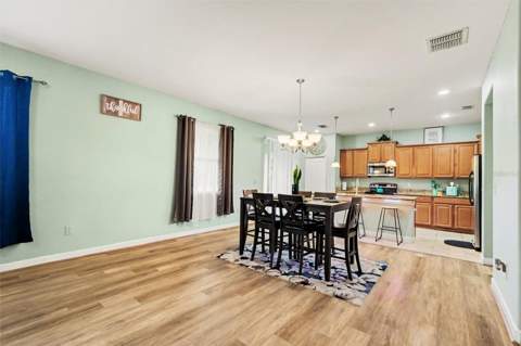 20443 Autumn Fern Avenue, Tampa FL - photo 8 of 30