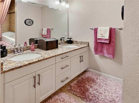 6781 Basswood Circle, Zephyrhills FL - photo 11 of 33