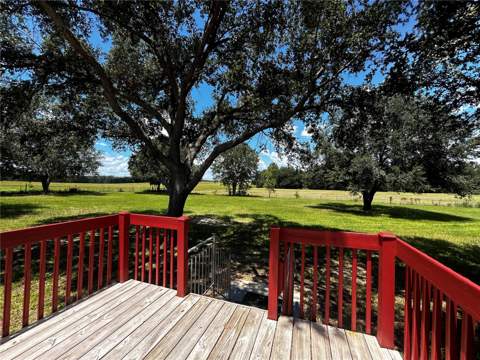 8535 23rd Street, Zephyrhills FL - photo 7 of 39