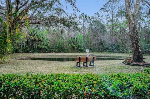 3232 Lake Pine Way #C1, Tarpon Springs FL - photo 17 of 29