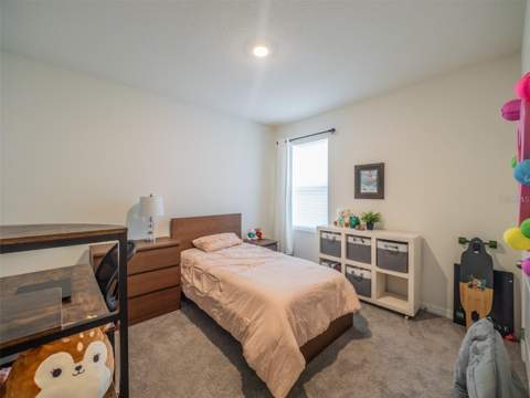 4885 Panga Avenue, Mount Dora FL - photo 13 of 25