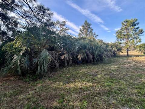 12714 State Road 33, Groveland FL - photo 13 of 22