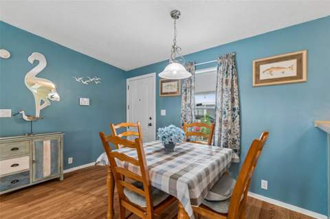 37644 Pinata Avenue, Zephyrhills FL - photo 17 of 79