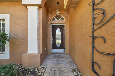 4421 Tarkington Drive, Land O Lakes FL - photo 6 of 6