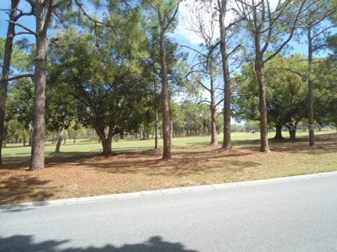 2800 Cove Cay Drive #4D, Clearwater FL - photo 24 of 24