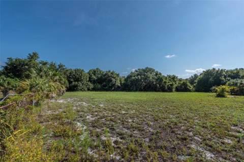 12154 Bullfrog Creek Road, Gibsonton FL - photo 10 of 23