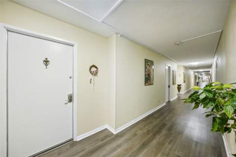7400 Sun Island Drive #802, South Pasadena FL - photo 7 of 65