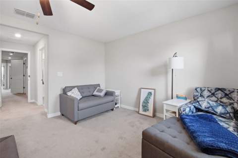 4459 Globe Thistle Drive, Tampa FL - photo 9 of 56