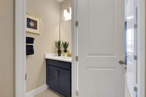 17338 Wild Daisy Drive, Winter Garden FL - photo 8 of 14