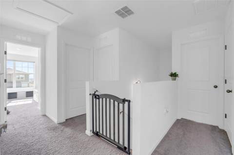 2207 Bear Peak Road, Minneola FL - photo 17 of 38