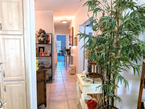 34709 Lake Drive, Pinellas Park FL - photo 13 of 26