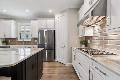 29534 Ginnetto Drive, Wesley Chapel FL - photo 12 of 99