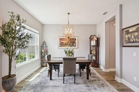 3113 Pinenut Drive, Apopka FL - photo 8 of 30