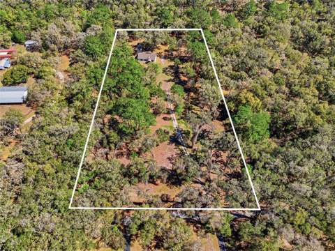 1131 SW 166th Street, Newberry FL - photo 6 of 6
