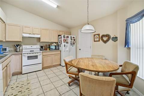 3341 Celena Circle, St Cloud FL - photo 6 of 22