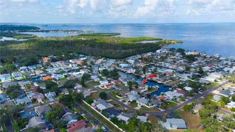 318 Circle Drive, Palm Harbor FL - photo 11 of 38
