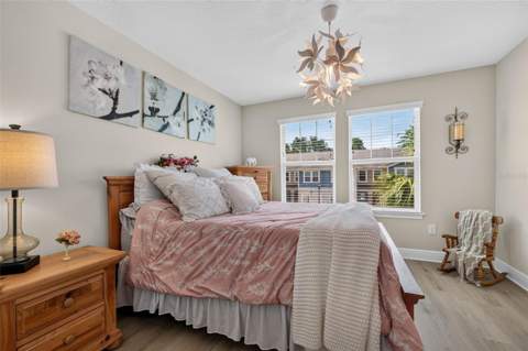 6231 Scarlet Darter Way, Tampa FL - photo 21 of 30