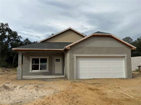 34281 Manuel Street, home for sale in Webster 33597