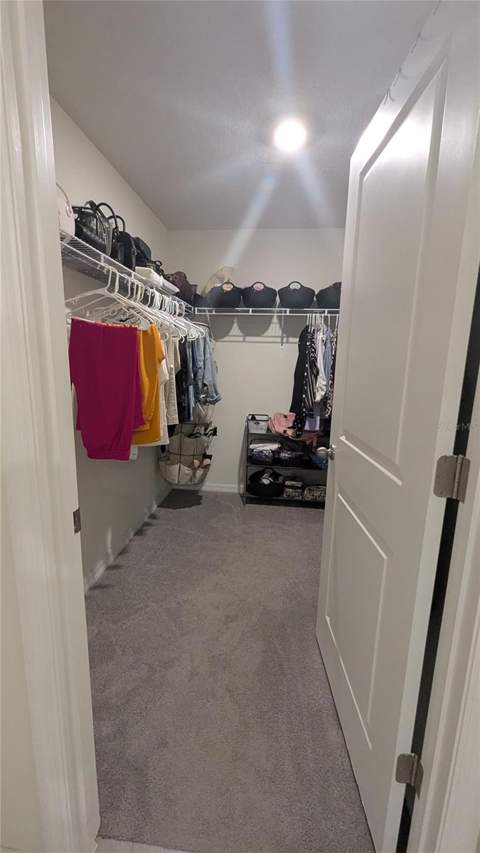 3719 Capri Coast Drive, Plant City FL - photo 18 of 46
