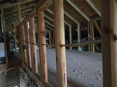 704 E Orchid Avenue, Tampa FL - photo 14 of 23