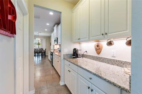 11420 Amapola Bloom Court, Riverview FL - photo 13 of 55