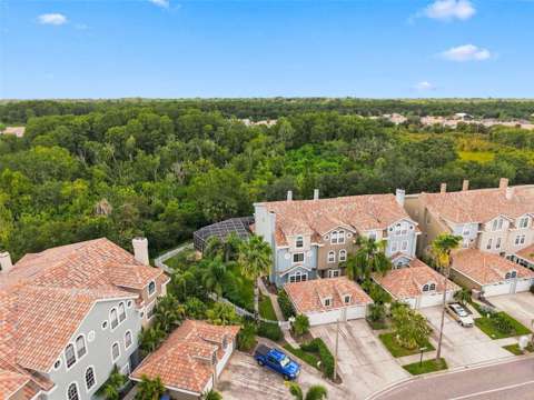 1650 Arabian Lane, home for sale in Palm Harbor 34685
