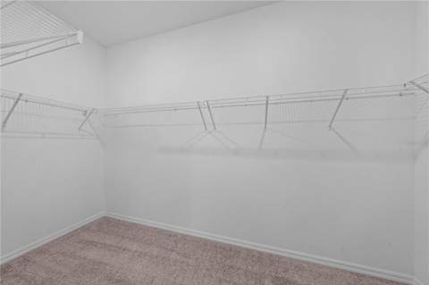 920 Livestock Loop, St Cloud FL - photo 13 of 30